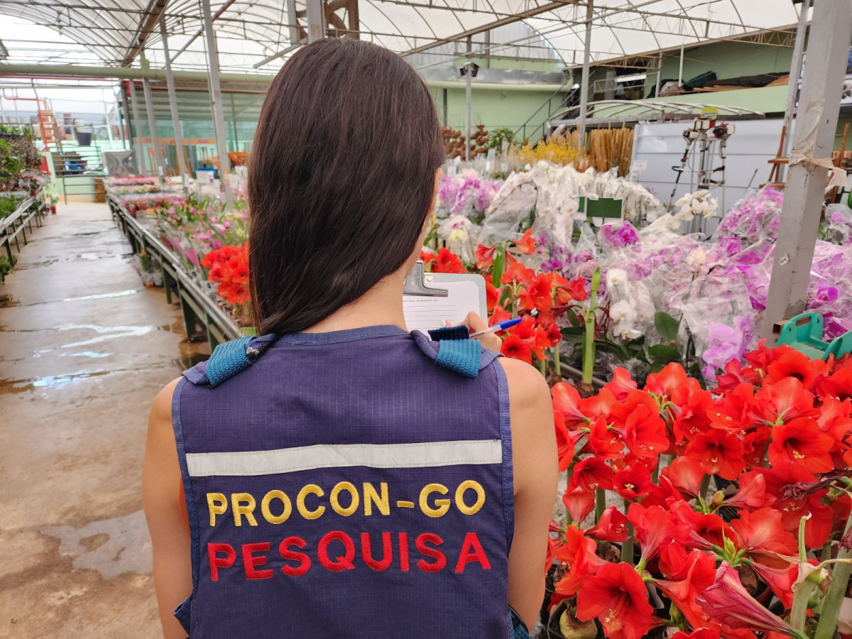 Procon aponta variação de até 585% em preço de flores